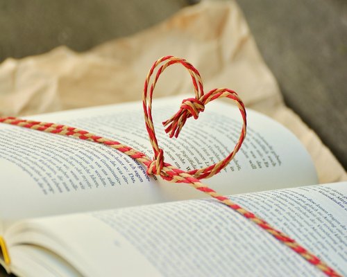 Reading a book in the evening light